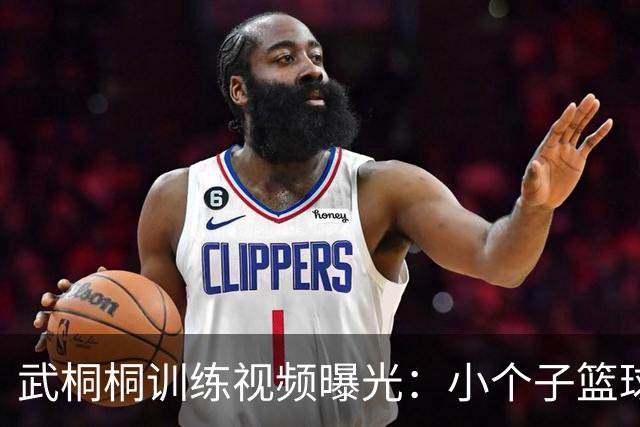 武桐桐训练视频曝光：小个子篮球员必备的抛投技巧